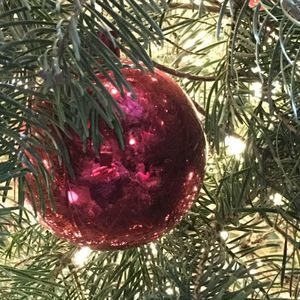 Meet your Posher, Alice